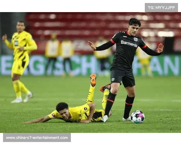 业余联赛与德甲联动计划曝光，足球金字塔结构持续优化